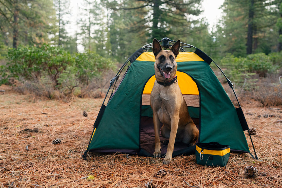 tent mates MSR Remote Orange 3 Person 14109 Farbe:pink rush Stove jack for easy How To Build A event planners in california