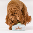 Load image into Gallery viewer, P.L.A.Y. Pup Cup Collection - Mutt-a-rons Toy - brown dog searching in box with green cookie peeking out
