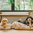 Load image into Gallery viewer, P.L.A.Y. Dreamland Lounge Bed Collection - Sandstorm with small and large size shown with two different dogs lounging in them
