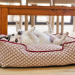 Load image into Gallery viewer, P.L.A.Y. Vineyard Lounge Bed Collection - Cabernet Red with small black and white dog laying on its back near dining room table

