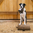 Load image into Gallery viewer, P.L.A.Y. Barnyard Buddies Harley the Horse in black and white dog's mouth standing on a log in front of a barn
