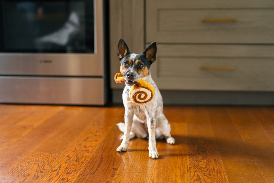 Pup Cup Cafe Cinna-bone: Plush Dog Toy by Play Pet Brands