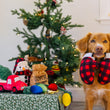 Load image into Gallery viewer, P.L.A.Y. Home for the Holidays Collection - brown fluffy dog holding the mittens in its mouth in front of Christmas Tree with other toys on top of a wrapped present

