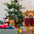 Load image into Gallery viewer, P.L.A.Y. Home for the Holidays Collection Paw Warmers Toy - mittens hanging from a brown dog's mouth staring into the camera while standing up with a Tree to the left with a present in front and other toys on top of it
