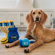 Load image into Gallery viewer, A golden retriever dog lies on a beige carpet in a bright room, surrounded by the Play Paw-nukkah dog toy collection, including a blue drawstring bag labeled Gelt, a blue ball, and a toy menorah.

