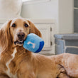 Load image into Gallery viewer, Dog holding a Play Paw-nukkah Doggy Dreidel toy from the side of its mouth, sitting on a tiled floor.
