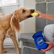 Load image into Gallery viewer, Dog playing with the gold coin from the Play Paw-nukkah Gelt-y Treats dog toy held by a person in a home setting
