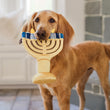 Load image into Gallery viewer, P.L.A.Y. Paw-nukkah Collection Menorah Toy - candles being held in a brown dog's mouth in front of a fireplace in a living room
