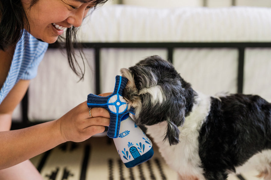 Play Pet Brands Totally Touristy Dutch Windmill Dog Toy Medium & XS Sizes Available Play Pet Brands Totally Touristy Dutch Windmill Dog Toy Medium & XS Sizes Available