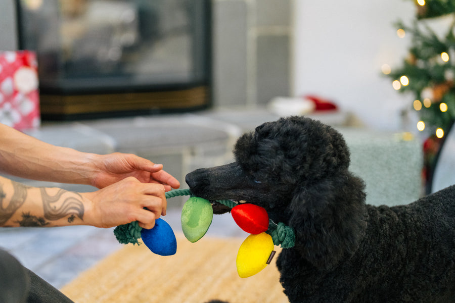 rubber christmas tree dog toy Home for the Holidays