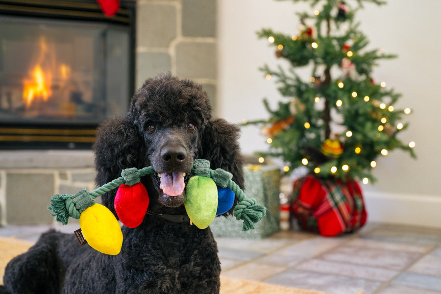 rubber christmas tree dog toy Home for the Holidays
