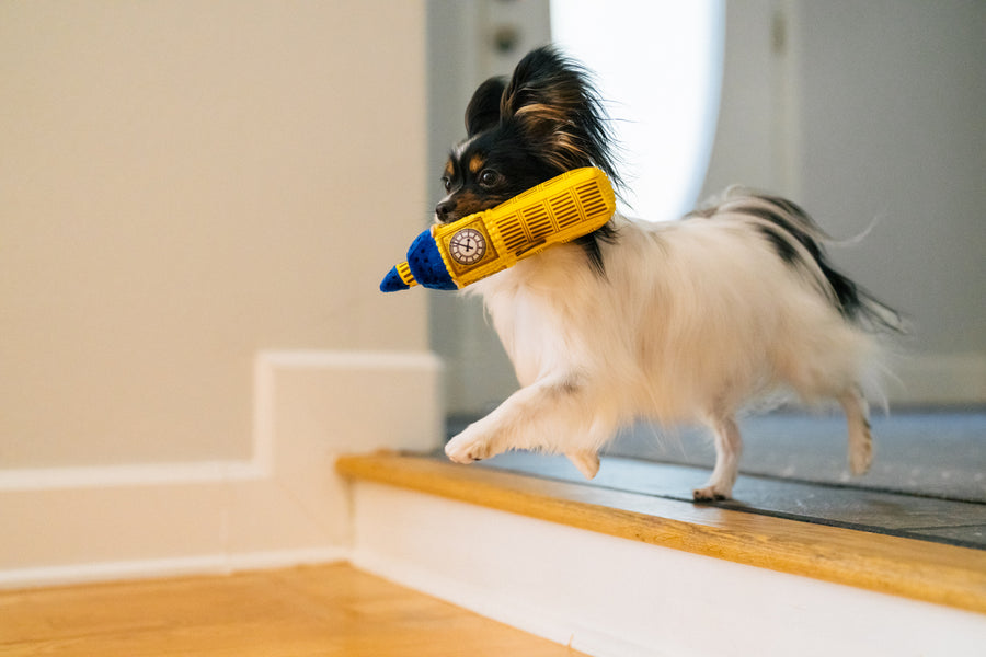 Play Pet Brands Totally Touristy Big Ben Dog Toy – Interactive Fun