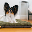 Load image into Gallery viewer, P.L.A.Y. Canyon Series Chill Pad - Sagebrush lifestyle image with fluffy little pup laying on it starring at you with curious look
