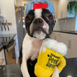 Load image into Gallery viewer, Clive &amp; Bacon x P.L.A.Y. Barking Beer toy pictured with black and white dog wearing a backward baseball cap in kitchen
