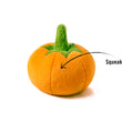 Load image into Gallery viewer, P.L.A.Y. Garden Fresh Collection - Pumpkin Toy with features shown

