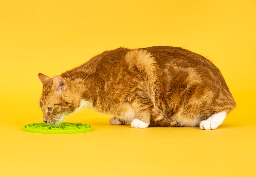 ZoomieRex EverLick Enrichment Feeding Mat by Play Pet Brands