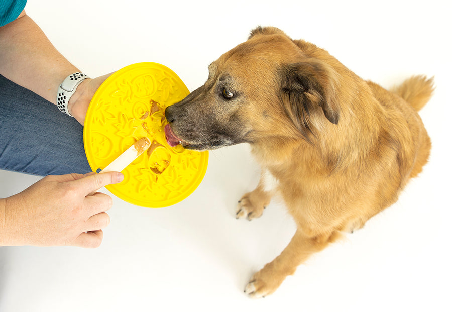 ZoomieRex EverLick Enrichment Feeding Mat by Play Pet Brands