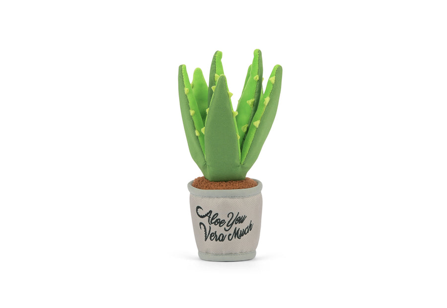 P.L.A.Y. Blooming Buddies Aloe-ve You Plant Dog Toy