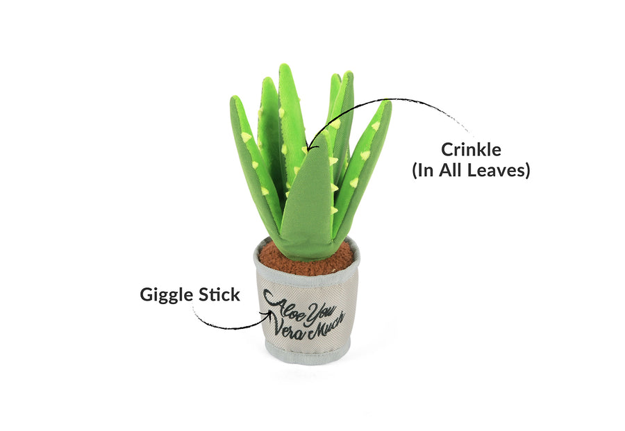 aloe vera plant gift P.L.A.Y. Blooming Buddies Aloe-ve You Plant Dog Toy