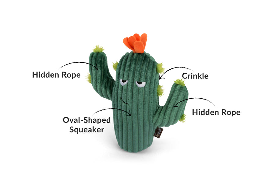 P.L.A.Y. Blooming Buddies Prickly Pup Cactus Dog Toy