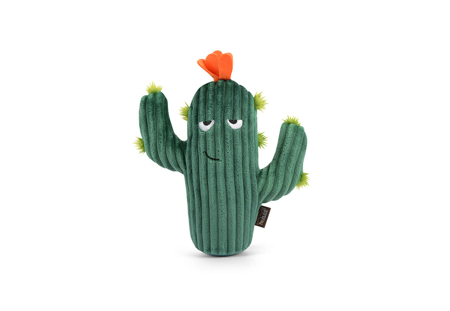 Prickly Pup Cactus: Squeaky Dog Toy by Play Pet Brands