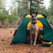 Load image into Gallery viewer, P.L.A.Y.'s Landscape Series Travel Bowl - Dog sitting in Moss Outdoor Dog Tent with matching Travel Bowl
