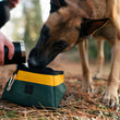 Load image into Gallery viewer, P.L.A.Y.'s Landscape Series Travel Bowl - Dog drinking from Moss bowl with human pouring water in it
