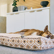 Load image into Gallery viewer, Dog sleeping on Marina Boxy Bed in Sand solid side showing
