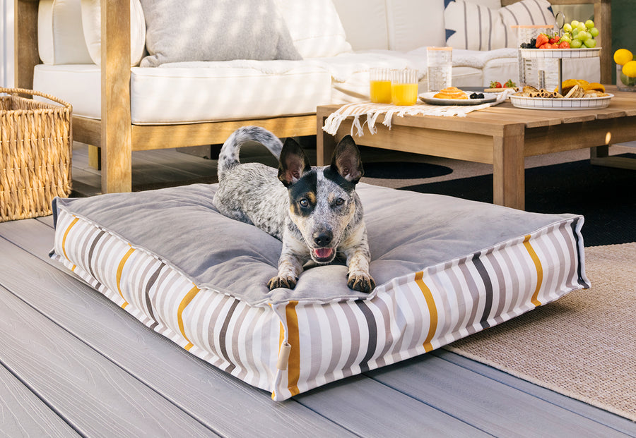 Seaside Boxy Bed - New Style, Same Great Dog Bed – Play Pet Brands