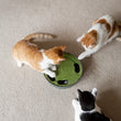 Load image into Gallery viewer, Feline Frenzy Peek-a-boo Mouse Interactive Cat Toy on cream carpet shot from the top with four cats surrounding it to play
