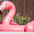 Load image into Gallery viewer, P.L.A.Y.'s Tropical Paradise Collection Flamingo Floatie Toy floating on a big Flamingo Float in pool
