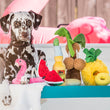 Load image into Gallery viewer, P.L.A.Y.'s Tropical Paradise Collection pictured with dog
