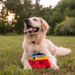 Load image into Gallery viewer, P.L.A.Y.'s Landscape Series Travel Bowl - Sunrise bowl in between dog's paws while he's smiling with tongue out outdoors
