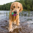 Load image into Gallery viewer, P.L.A.Y. Go-Go Astro Ball Nebula in dog's mouth coming out of water
