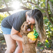 Load image into Gallery viewer, P.L.A.Y.'s Tropical Paradise Collection Paws Up Pineapple Toy with dog smiling with human on the beach
