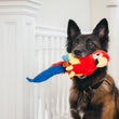 Load image into Gallery viewer, P.L.A.Y. Fetching Flock Paula the Parrot Toy - inside a German Shepard's mouth in front of the staircase
