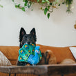 Load image into Gallery viewer, P.L.A.Y. Fetching Flock Percy the Peacock Toy - dangling from German Shepard's mouth laying on the couch
