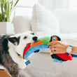 Load image into Gallery viewer, P.L.A.Y. Fetching Flock Tito the Toucan Toy - black and white dog biting the beak while dog mom holds onto the body
