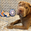 Load image into Gallery viewer, Gallery: Hanukkah Plush Toy Set PY7023AUF
