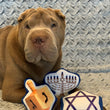 Load image into Gallery viewer, Gallery: Hanukkah Plush Toy Set PY7023AUF
