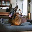 Load image into Gallery viewer, Houndstooth Lounge Bed in Shadow Gray with smiling dog laying in it

