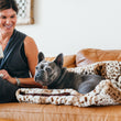Load image into Gallery viewer, P.L.A.Y. Snuggle Bed - Leopard Brown with gray Frenchie laying on it flat on tan couch with dog mom sitting next to it holding coffee mug and smiling down at dog
