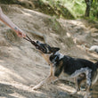 Load image into Gallery viewer, Gallery: Tug Rope Toy PY7037BSF
