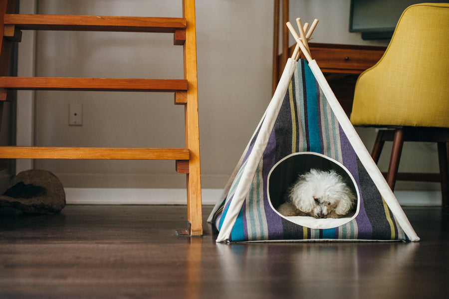 dog teepee tent P.L.A.Y. Horizon Pet Teepee, Lake