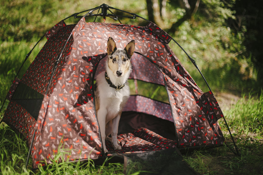 outdoor tent for dogs Outdoor Dog House: The Scout & About Pet Tent from Play Pet Brands
