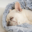 Load image into Gallery viewer, P.L.A.Y. Snuggle Bed - Husky Gray with close up of white Frenchie's head sleeping inside
