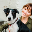 Load image into Gallery viewer, Napoli Collars by P.L.A.Y. - Black and red colorway on dog sitting on bench with human smiling at him

