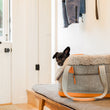 Load image into Gallery viewer, LeftPine x P.L.A.Y. Deluxe Dog Carrier with dog sitting in Gray version on a bench
