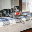 Load image into Gallery viewer, P.L.A.Y. Back To School Fido's Football Toy - black and gray fluffy dog sitting on plaid bunkbed with football in his mouth
