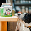 Load image into Gallery viewer, Clover Sonoma x P.L.A.Y. Canine Carton Toy
